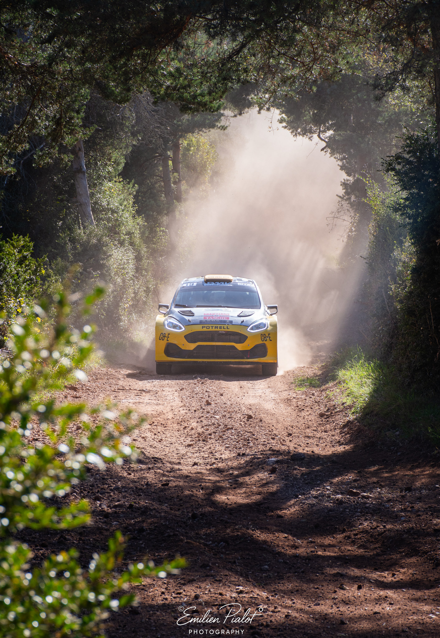Ford Fiesta Rally2 jaune Potrell n°19 dans un rideau de poussière en forêt