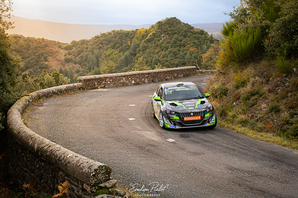 Peugeot 208 verte et noire n°230 en épingle