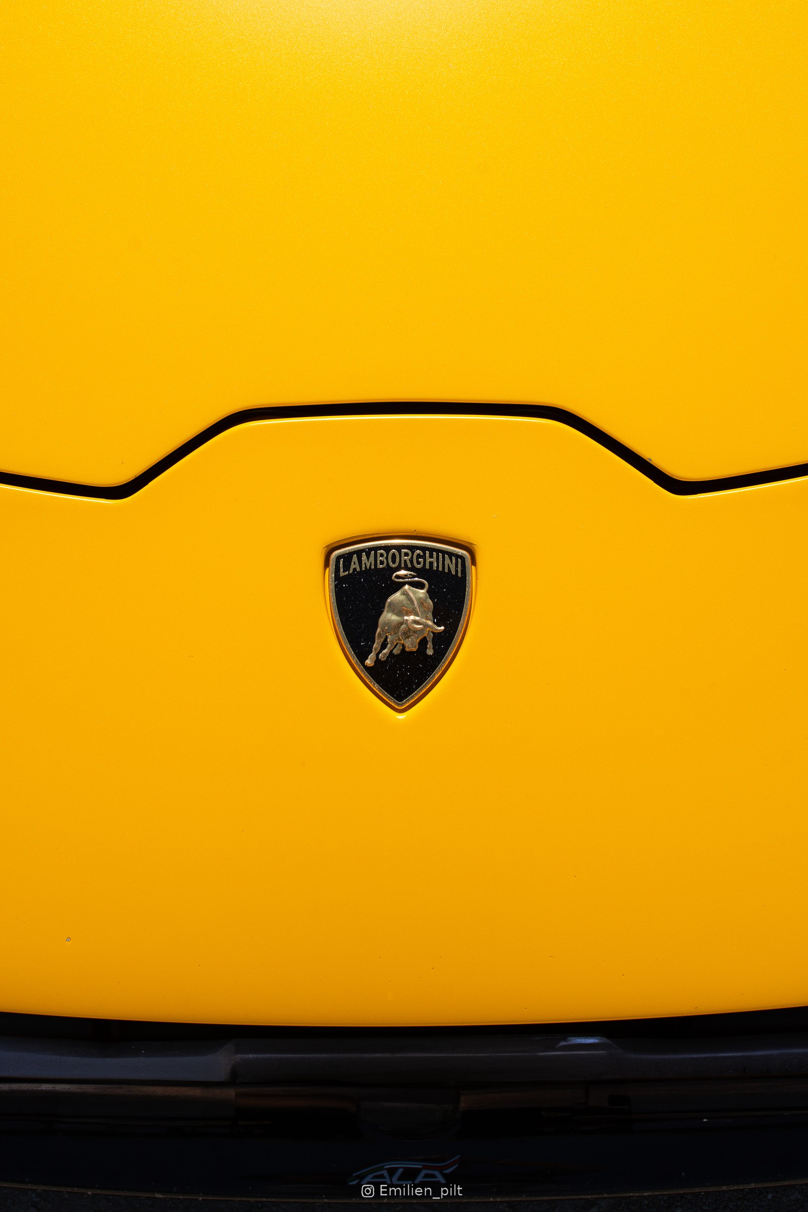 Détail de l'écusson Lamborghini sur le capot